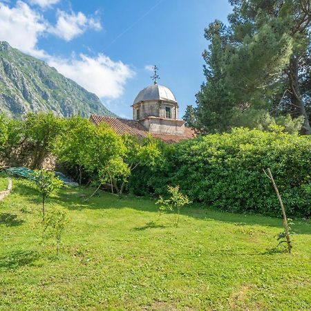 Organic Garden Apartment Risan Dış mekan fotoğraf