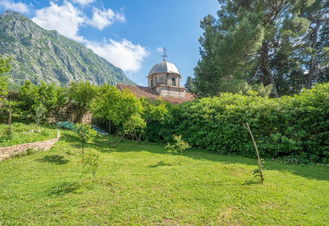 Organic Garden Apartment Risan Dış mekan fotoğraf